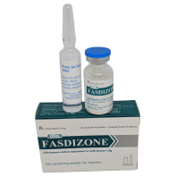 FASDIZONE inj